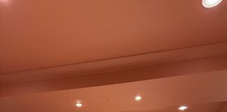 Ventrolla roundtable explores heritage challenges