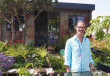 Crittall windows add edge to Gold medal-winning RHS garden